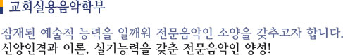 음악학부