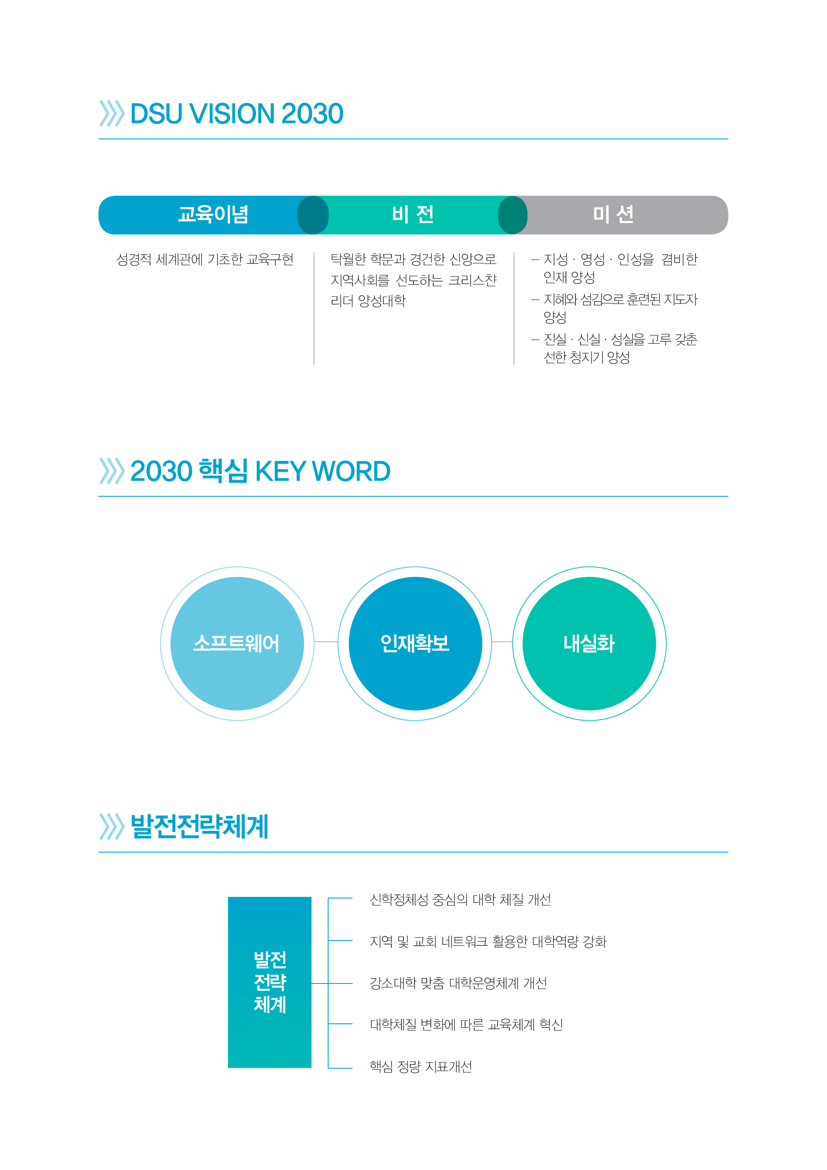 DSU VISION 2030