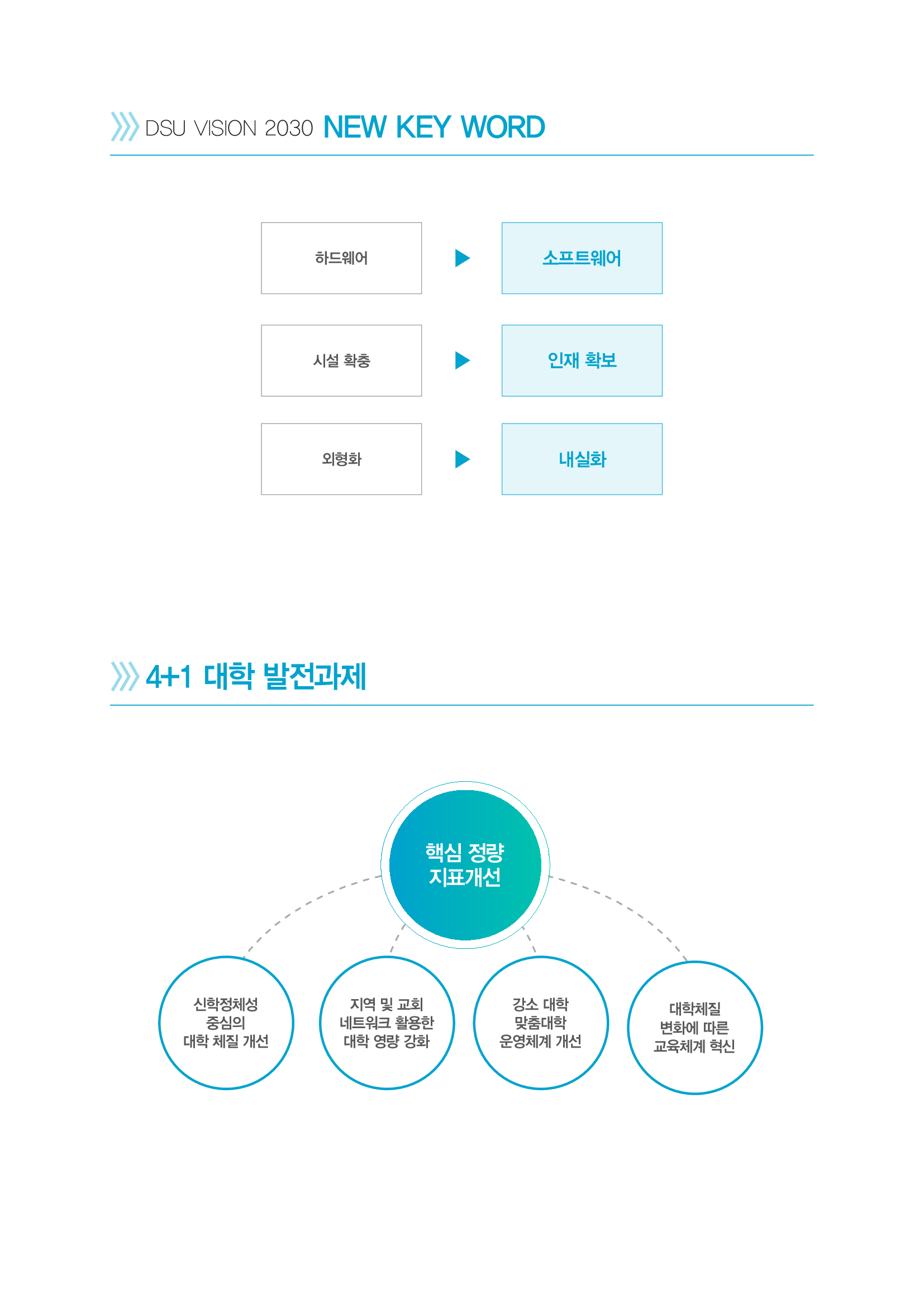 대학 발전과제